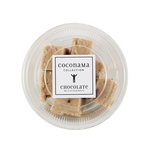 Sakura (Cherry Blossoms)